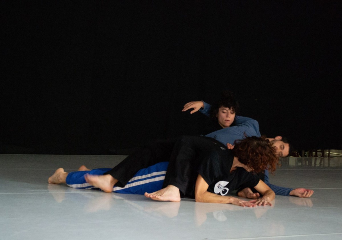 Sol Picó CIA de Danza S.L.