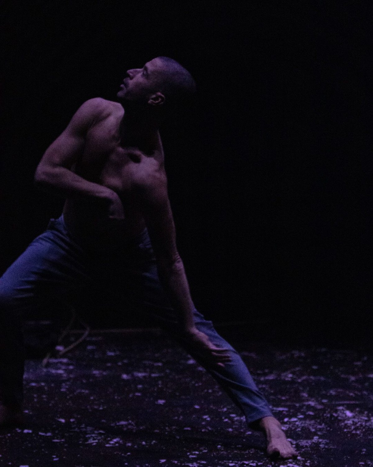 Sol Picó CIA de Danza S.L.